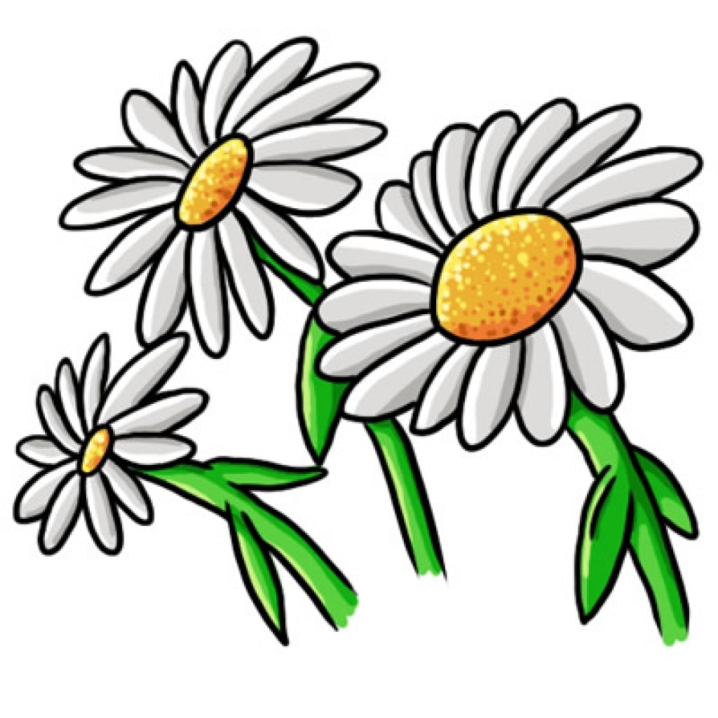 1024x1024 Top 71 Daisy Clip Art