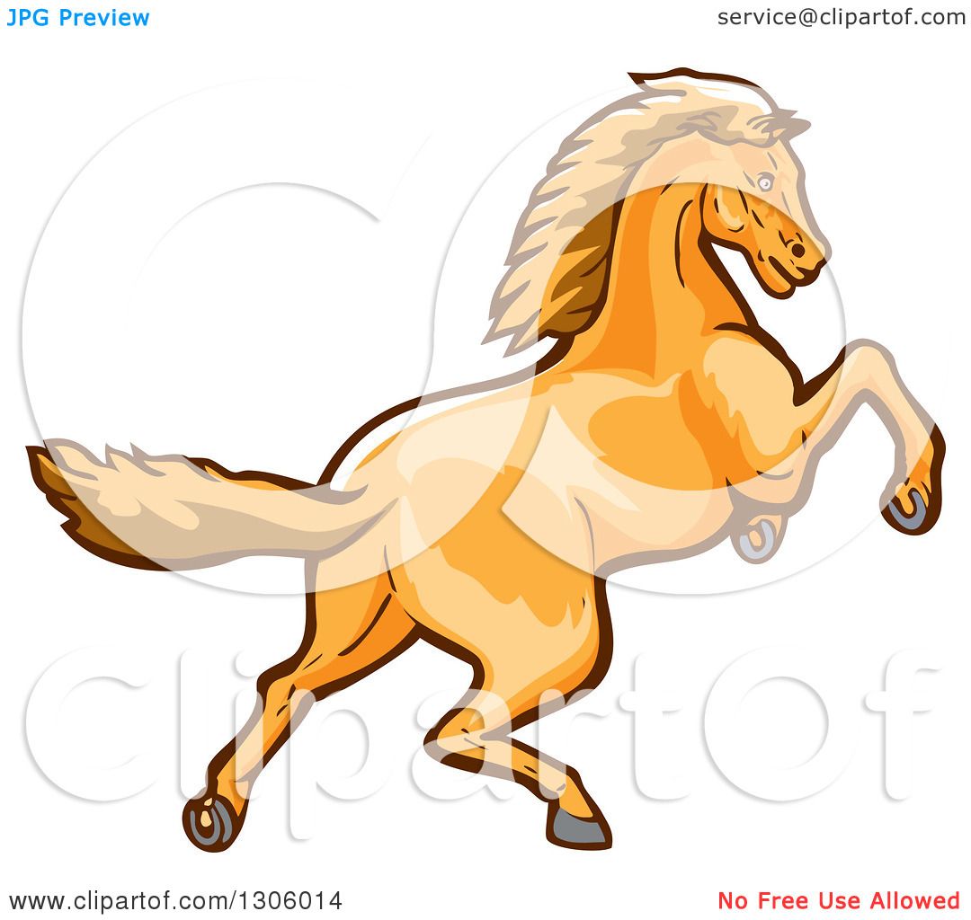 1080x1024 Clipart Of A Young Colt Horse Rearing Or Running