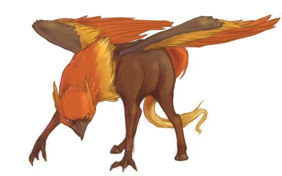 558x350 Hippogriff Favourites By Khayamrose On Hippogriffs