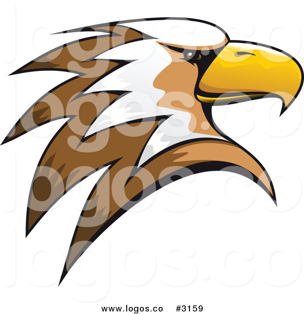 600x620 Royalty Free Vector Of A Brown Eagle Head Logo By Vector Tradition