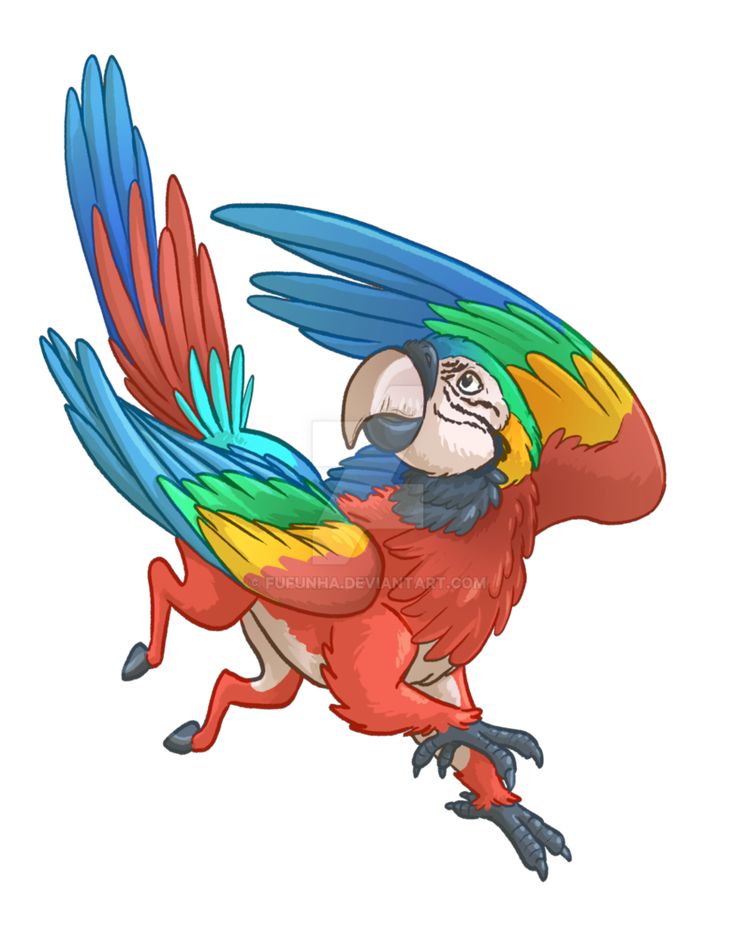 736x951 22 Best Creatuanary Images