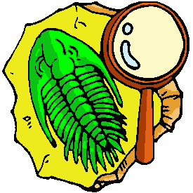 275x275 Filetrilobite Clipart.png