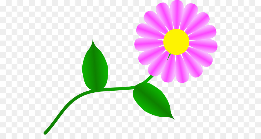900x480 Common Daisy Clip Art