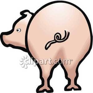 300x300 Rear End Of A Pig