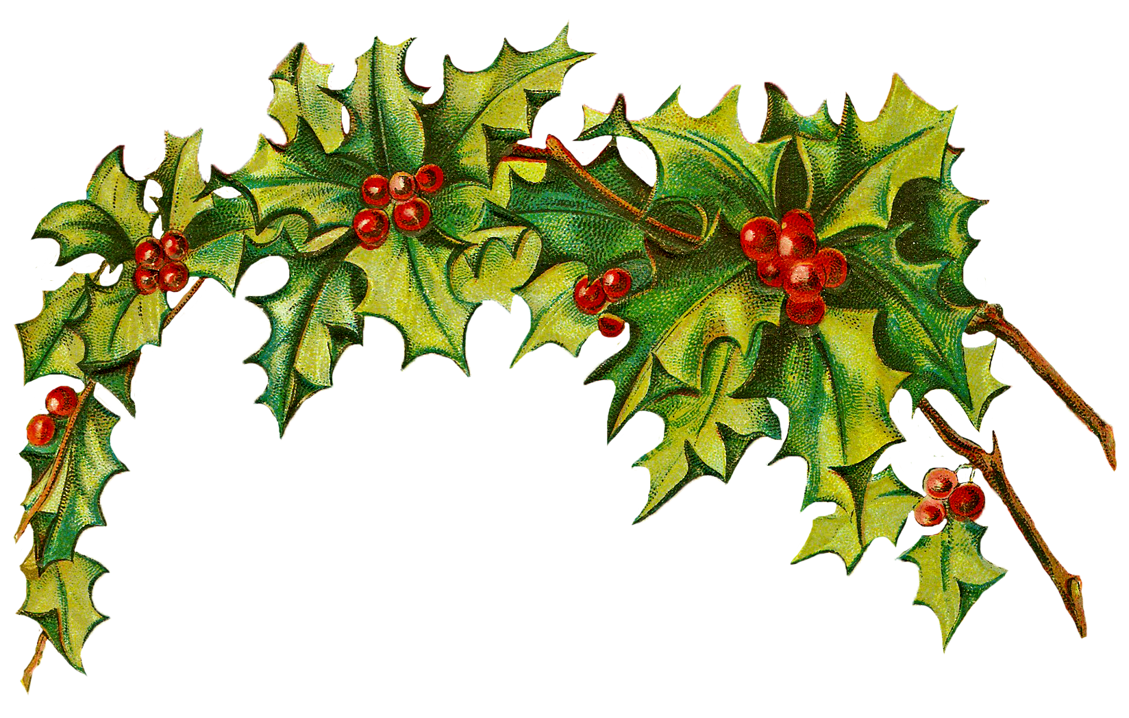 1648x1048 Christmas Clip Art Holly Clipart Panda