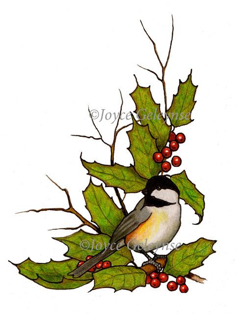 483x640 Clip Art, Christmas Holly, Twigs, Chickadee Freehand Art, Jpg