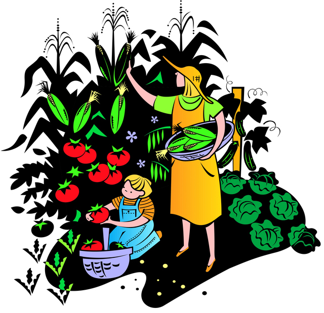 640x619 Vegetable Garden Clipart Clipart Panda