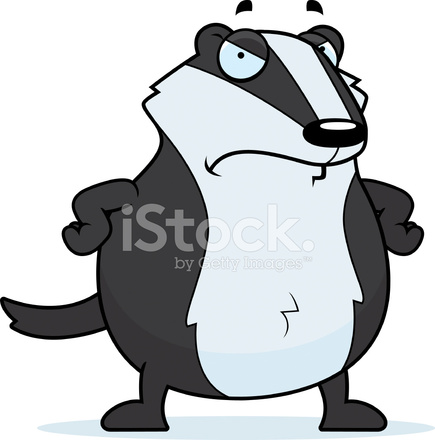 435x440 Cartoon Badger Angry Stock Vector