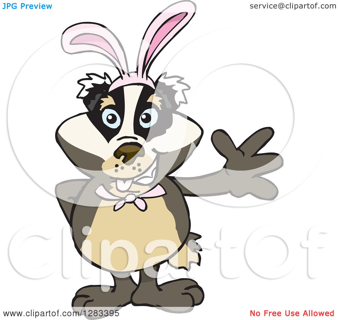 1080x1024 Clipart Of A Friendly Waving Badger Wearing Easter Bunny Ears