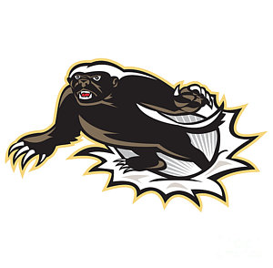 300x294 Honey Badger Posters Fine Art America