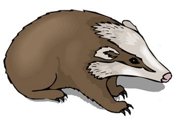 360x270 Badger Clipart Mean