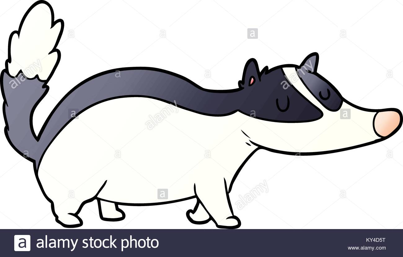 1300x828 Badger Stock Vector Images