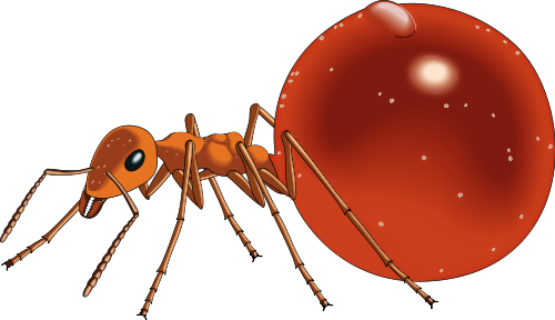 500x288 Honeypot Ant Clip Art Download Image