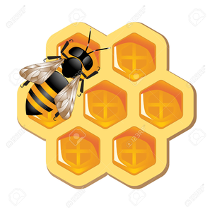 300x300 Honey Honeycomb Clipart Free Images