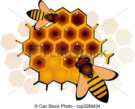 450x363 Illustration Of Two Honeybees In Honeycomb Drawing