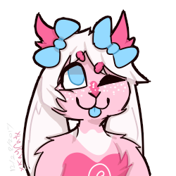 250x250 Sharkcatkitty