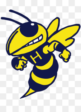 260x360 Hillsdale High School Hornet Davis Middle School Acadiana Clip Art