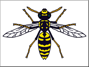 304x229 Clip Art Insects Hornet Color I Abcteach