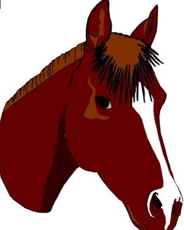 373x468 Horse Pictures Clip Art