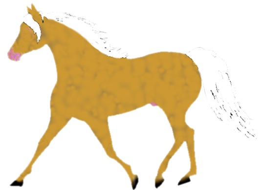 542x389 Free Fox Trotter Clip Art