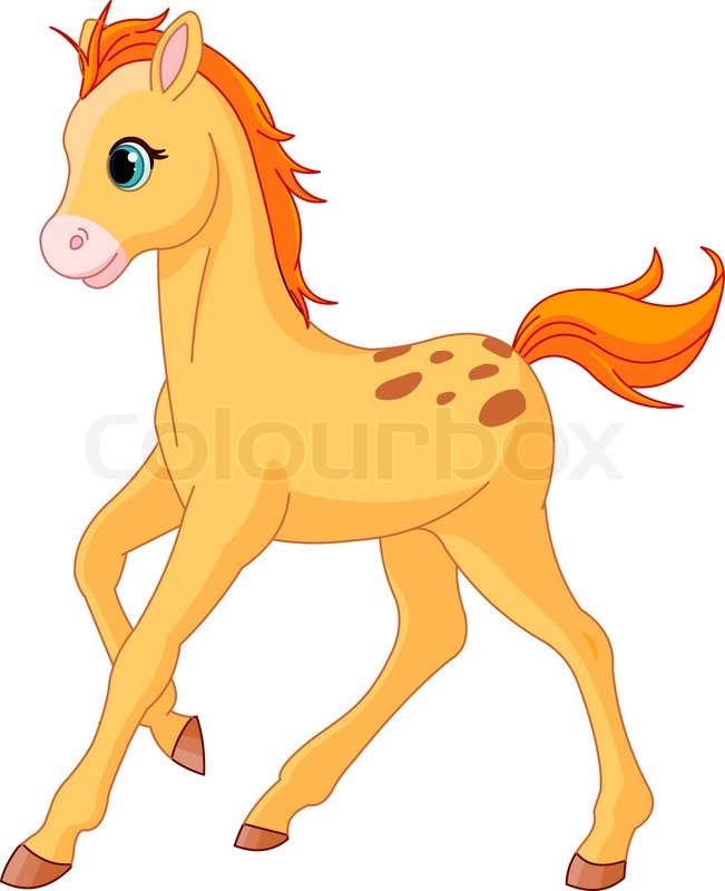 651x800 Illustration Of Cute Horse Foal Stock Vector Colourbox