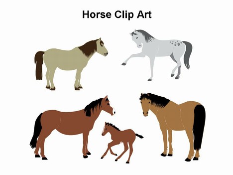 468x351 Horse Clip Art Template
