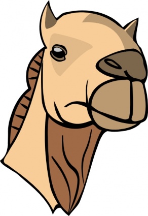 292x425 Camel Clipart Face