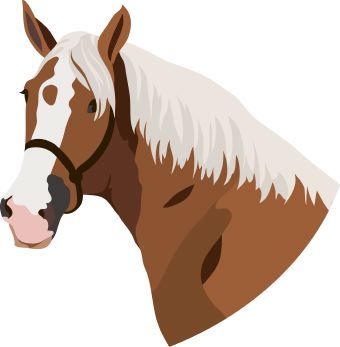 340x347 Luxury Horse Face Clipart