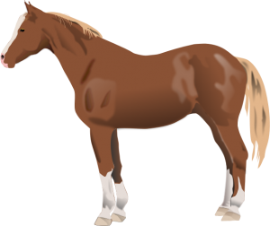 300x252 Baby Horse Clipart Download Horse Clip Art Free Clipart Of Horses