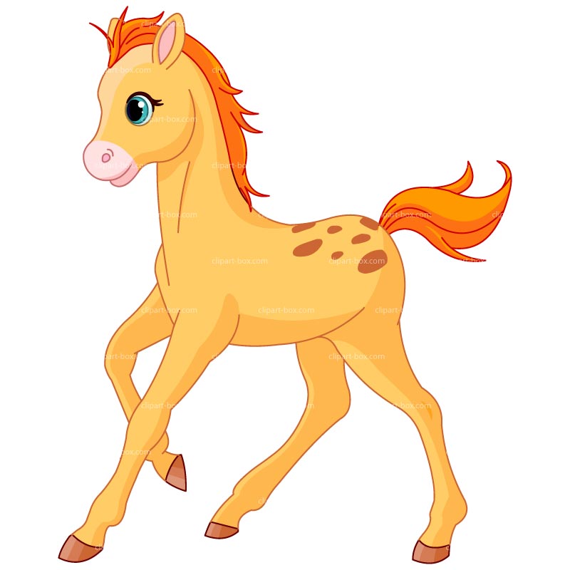800x800 Foal Clipart Cute Car