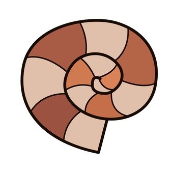 340x340 Free Cliparts Fossil, Pink, Shell, Shellfish