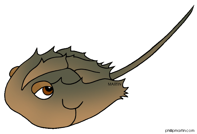 648x442 Horseshoe Crab Clipart