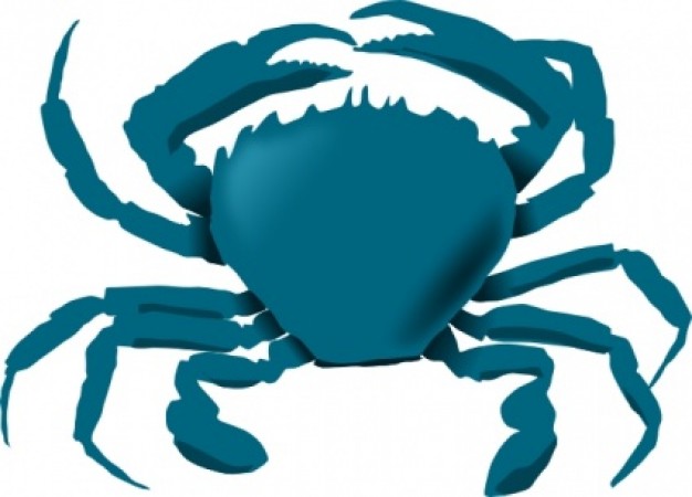 626x450 Blue Crab Clipart
