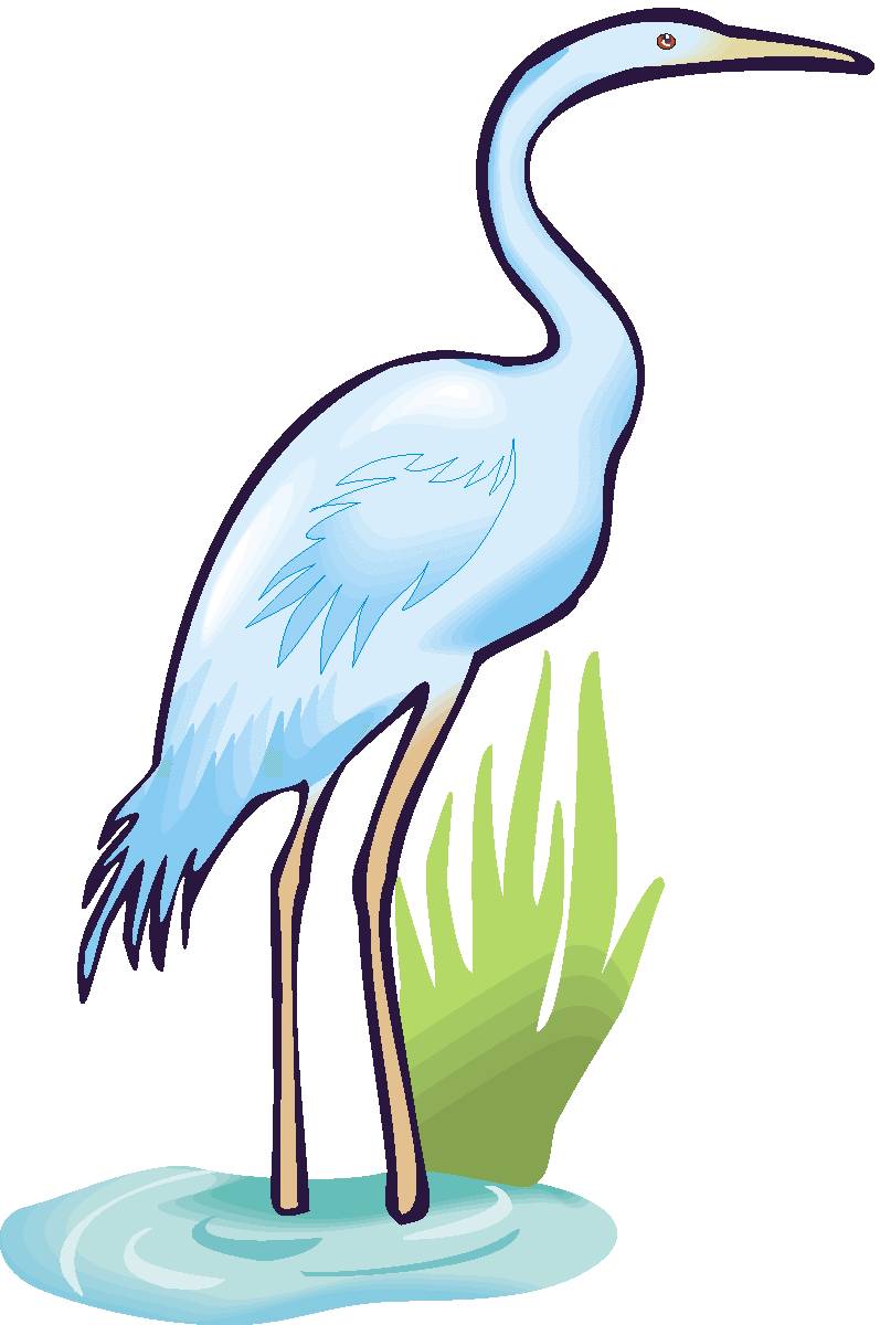 797x1200 Blue Heron Clipart Cartoon