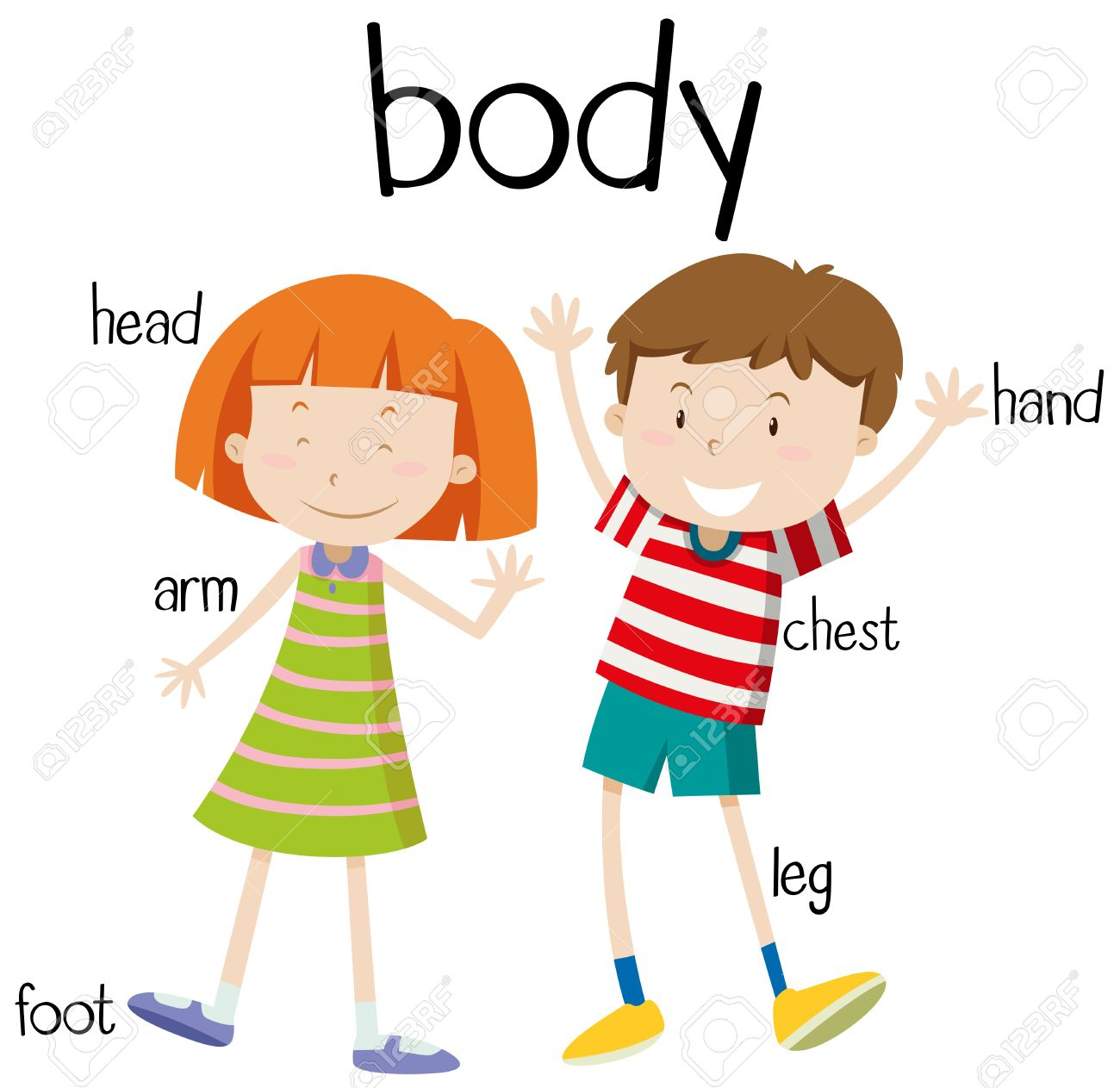 1300x1263 Clipart Of Human Body Part Top 79 Body Parts Clip Art