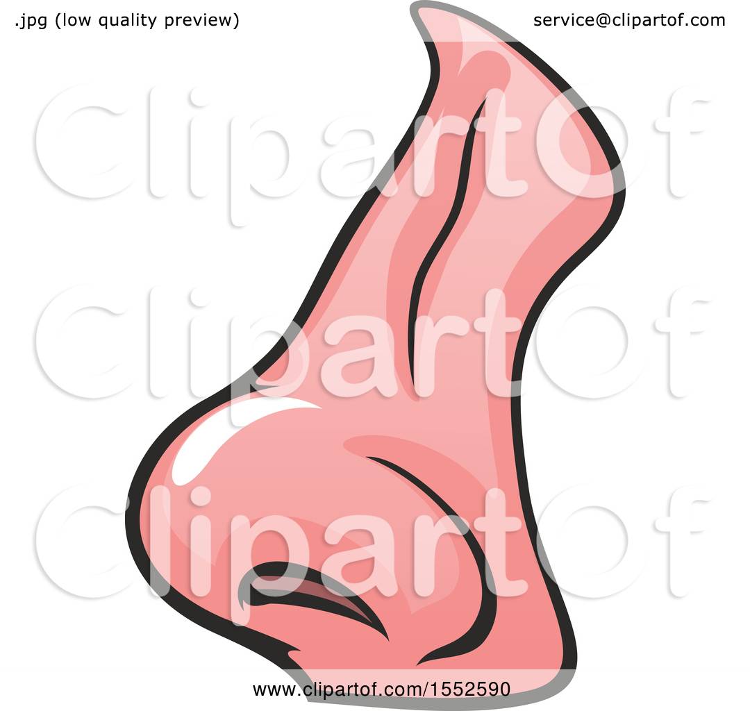 1080x1024 Clipart Of A Nose, Human Anatomy