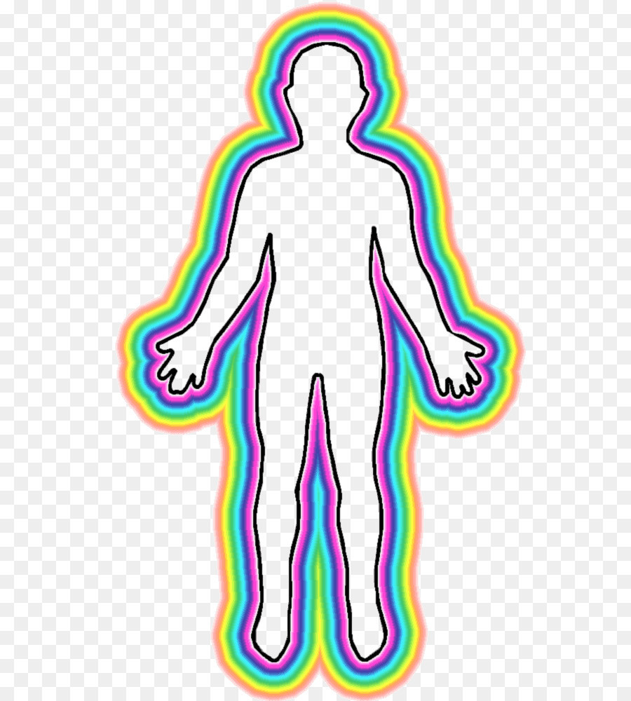 900x1000 Part 4 The Main Organs In The Human Body Anatomy Human Body Organs