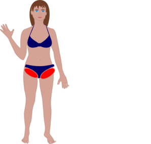 298x285 Human Body Clip Art