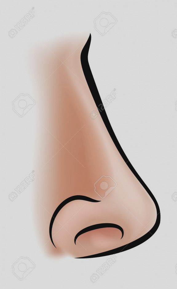 576x940 Awesome Nose Clip Art Clipart Fans 2 Clipartix