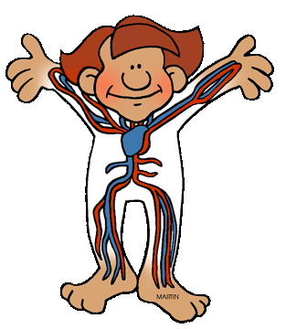 313x360 Free Human Body Clip Art By Phillip Martin Du Monde
