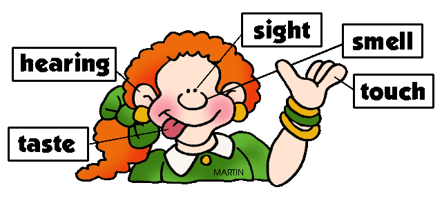 640x298 The Five Senses