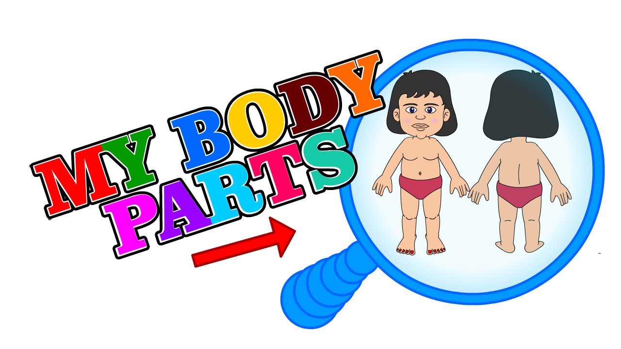 1280x720 Finding Human Body Parts For Kids To Learn Batman Science Kidz
