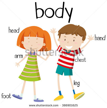 450x457 Gallery Body Parts Clip Art For Kids,