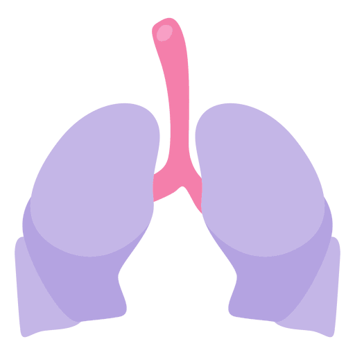 512x512 Lung Organ Human Body Clip Art