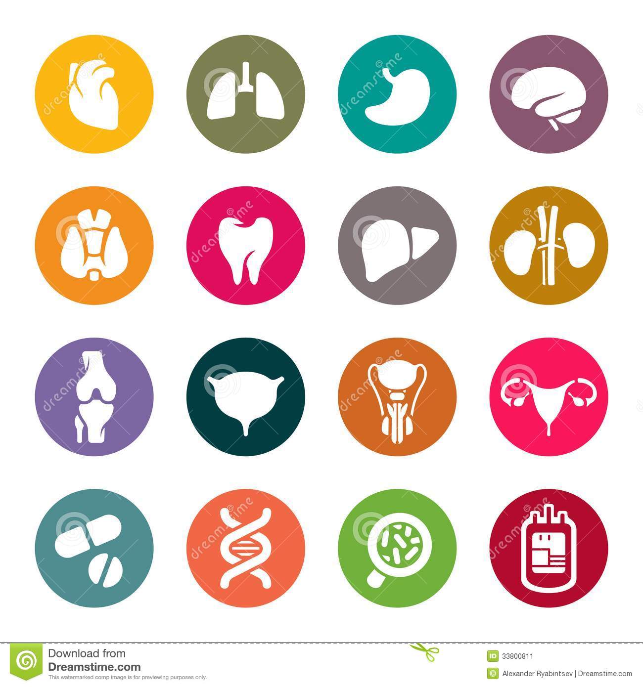 1300x1390 Organs Clipart Vital 3756049