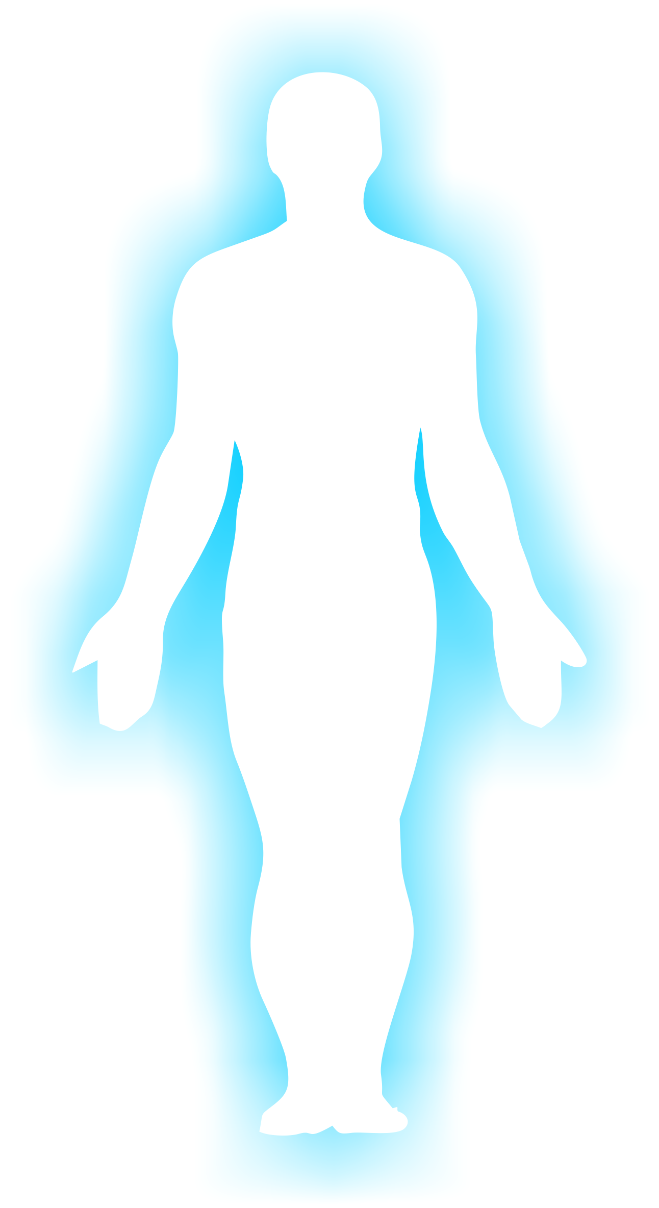 1292x2368 Clip Art The Human Body Clip Art
