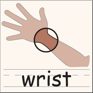 304x304 Clip Art Wrist