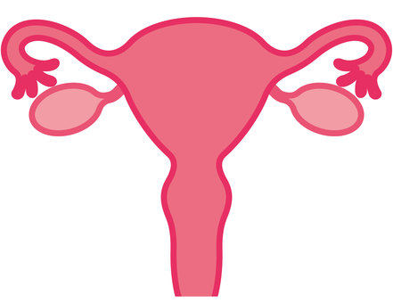 441x340 Free Cliparts Organ, Human Body, Parts