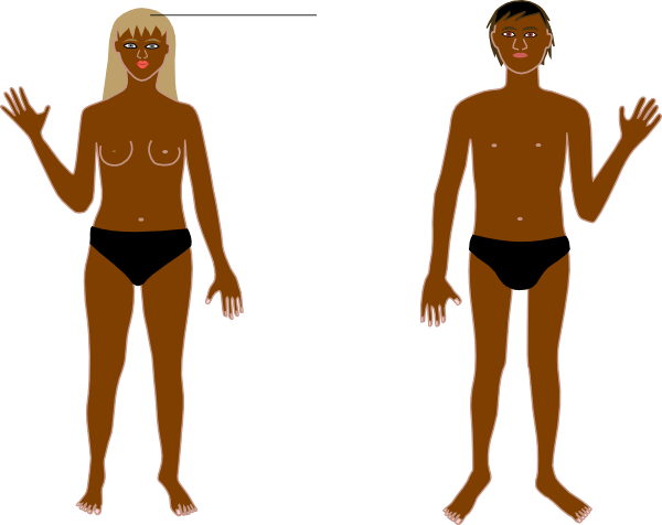 600x476 Human Body Parts Clipart