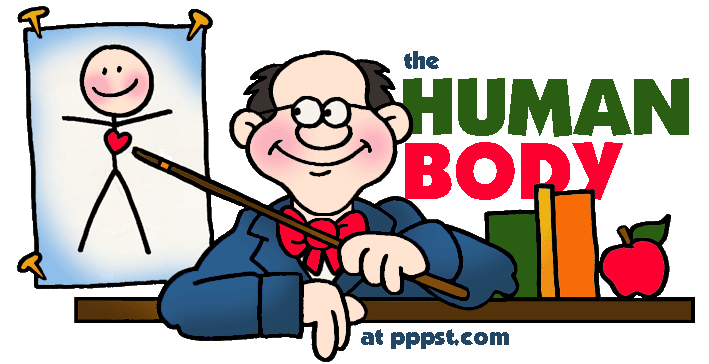 709x364 Human Body Systems